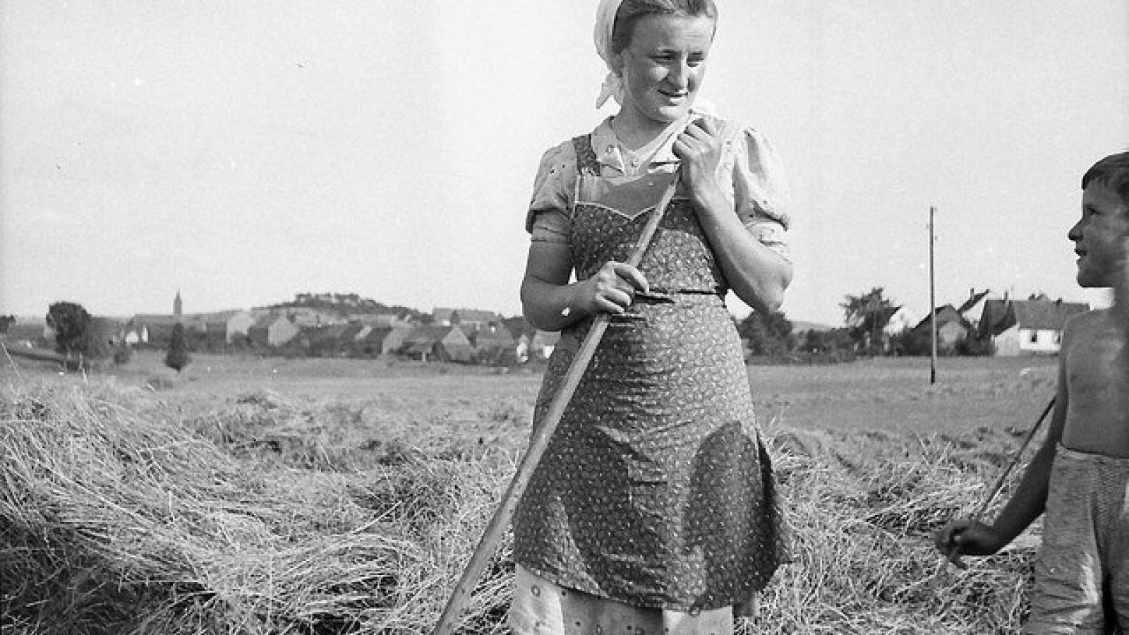 Fotografien aus dem Ersten und vor allem Zweiten Weltkrieg aus dem Nachlass des Archivaren und Fotografen Karl Lutz.