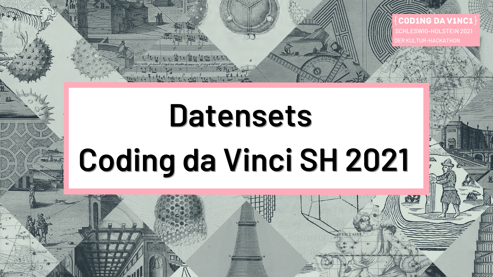 Schriftzug: Datensets - Coding da Vinci SH 2021