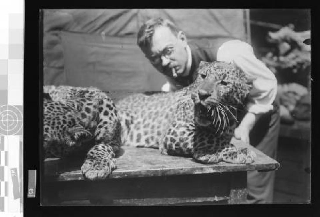 Fotografie um 1900: Ein Jaguar liegt auf einem Sofa, sein Kopf lehnt an der Brust eines Mannes in Hemd und Weste