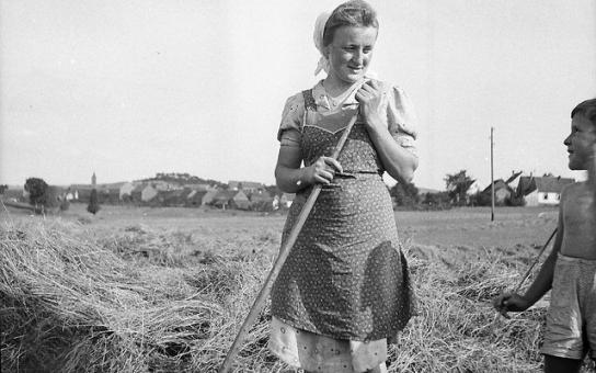 Fotografien aus dem Ersten und vor allem Zweiten Weltkrieg aus dem Nachlass des Archivaren und Fotografen Karl Lutz.