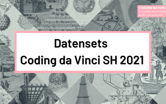 Schriftzug: Datensets - Coding da Vinci SH 2021